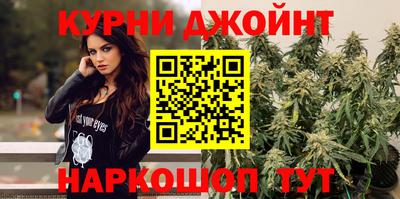 крисы Краснознаменск