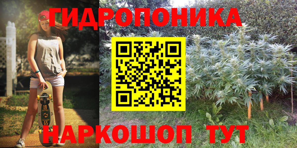Шишки марихуана SATIVA & INDICA  Вход с VPN  Канабис Amnesia  Камень-на-Оби 